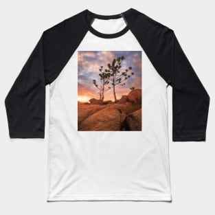 Trees In Light Baseball T-Shirt